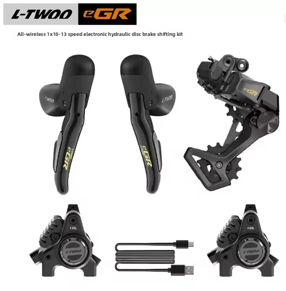 LTWOO EGR 2026
